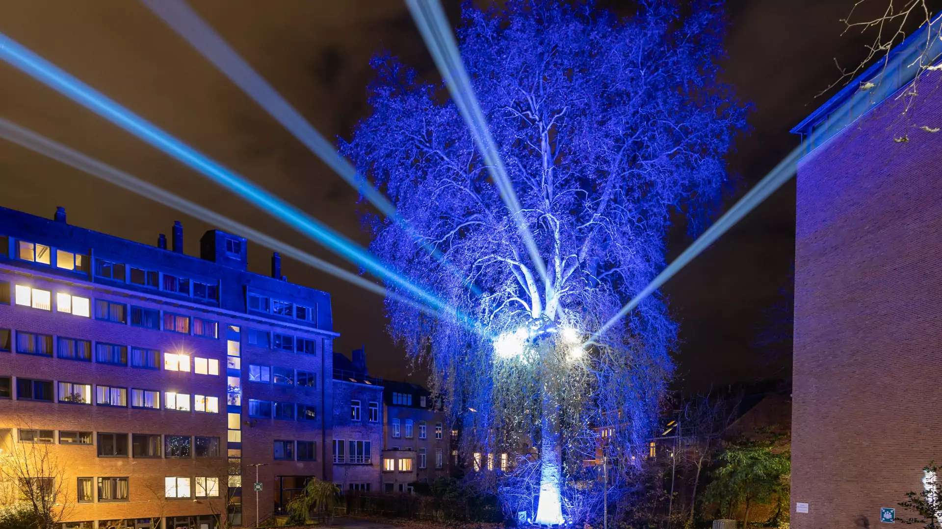 Namur en Lumière